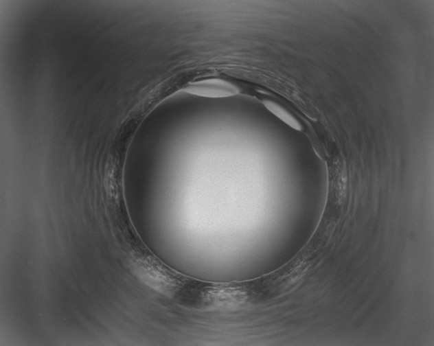 X0000084550619200702231207