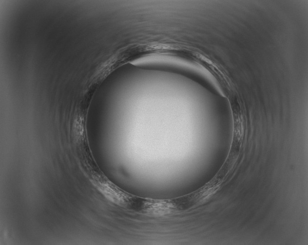 X0000084550621200702231207
