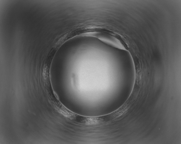 X0000084550623200702231207