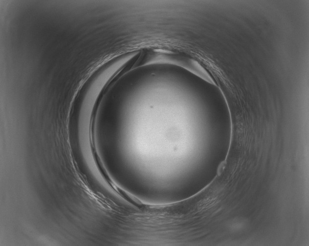 X0000084550626200702231206