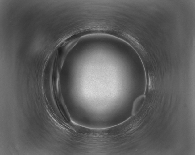 X0000084550627200702231206