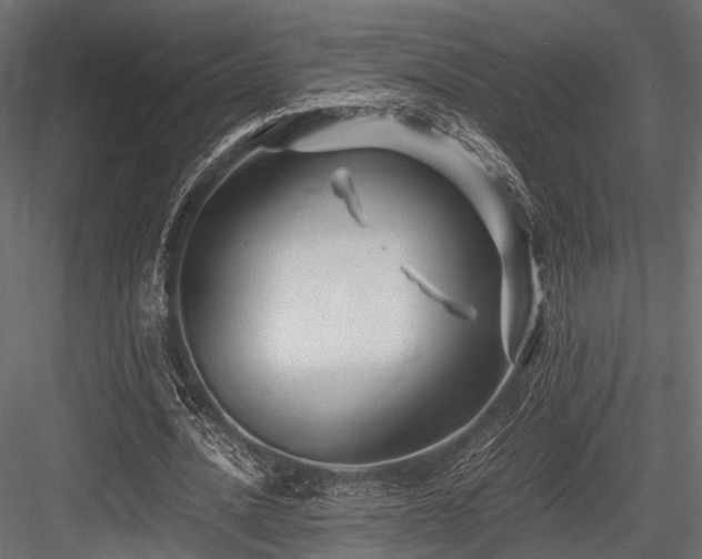 X0000084550628200702231206