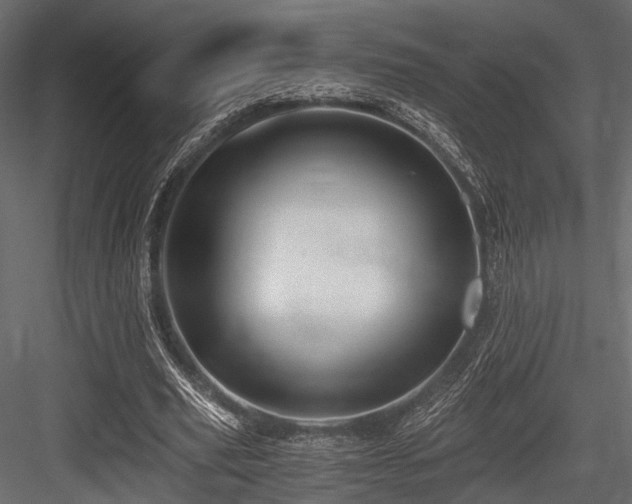 X0000084550629200702231206