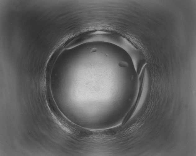 X0000084550630200702231206