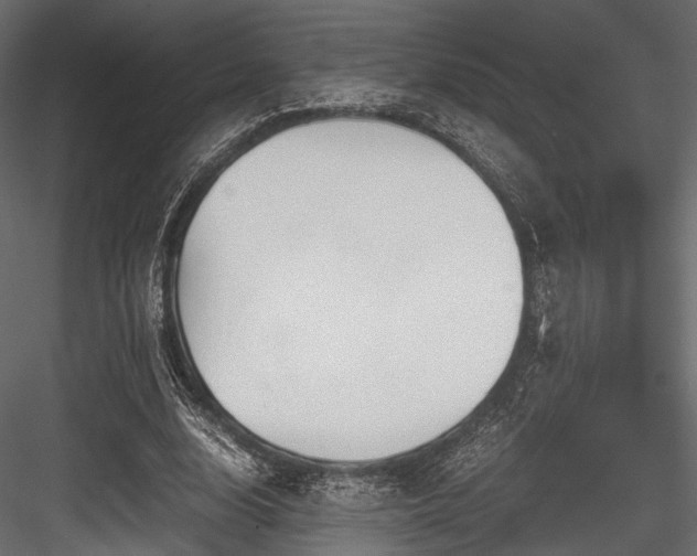 X0000084550632200702231206