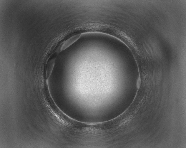 X0000084550633200702231206