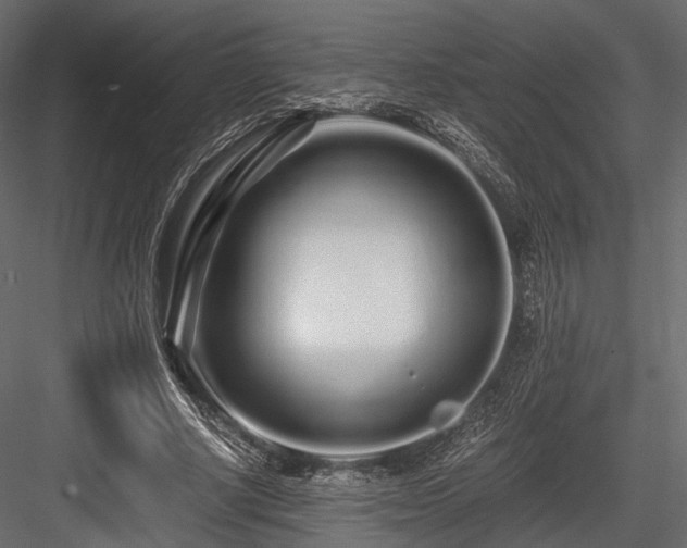 X0000084550634200702231206