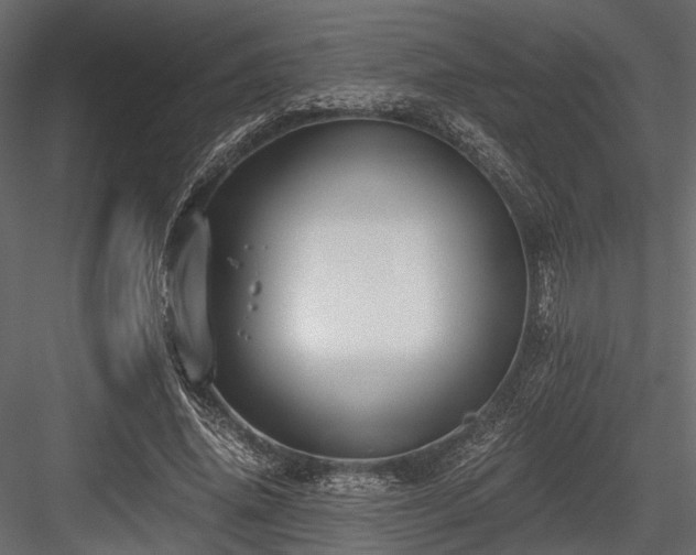 X0000084550636200702231206