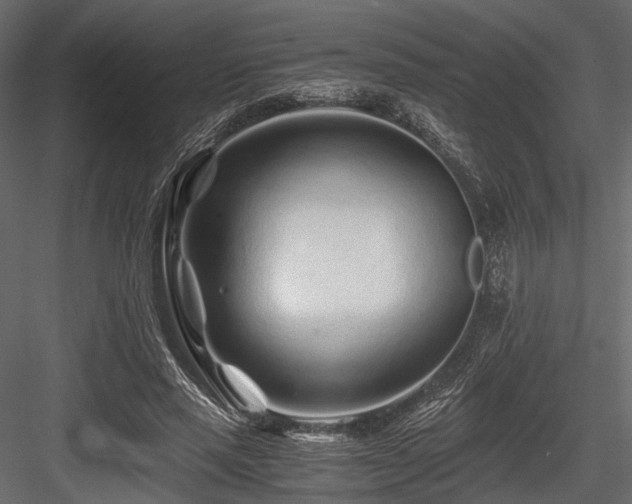 X0000084550637200702231206
