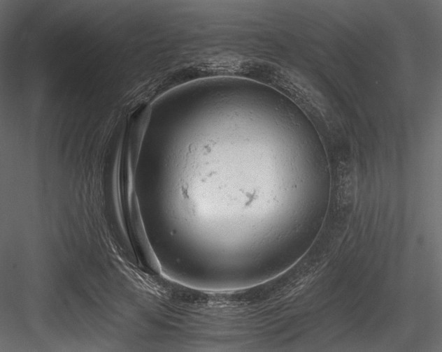X0000084550641200702231206
