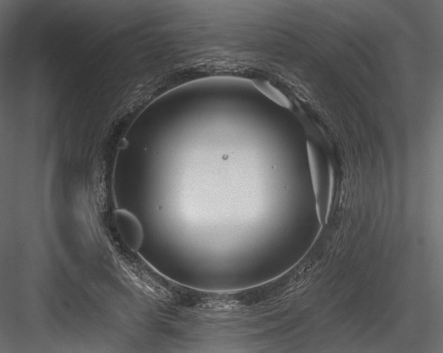 X0000084550642200702231206