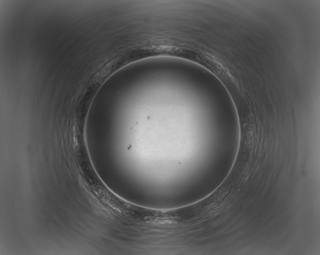 X0000084550643200702231206