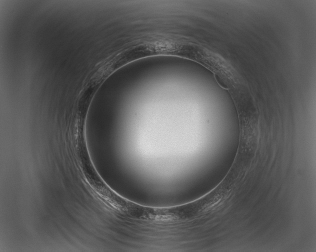 X0000084550645200702231206