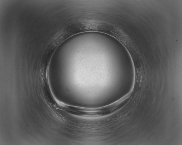 X0000084550648200702231206