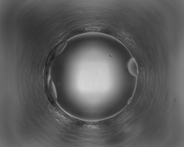 X0000084550649200702231206