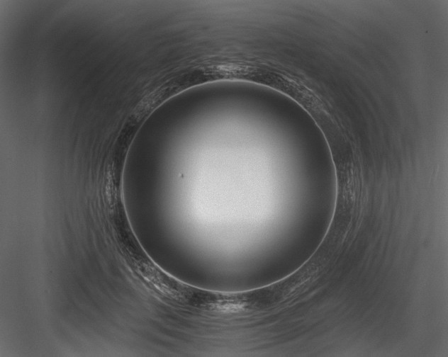X0000084550651200702231206