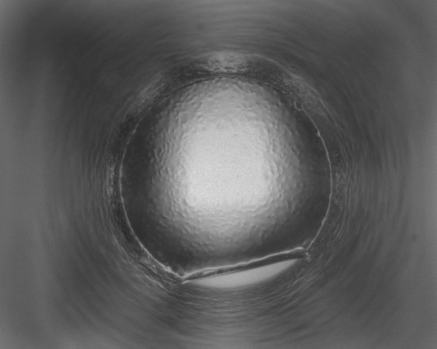 X0000084550652200702231206