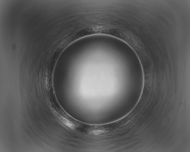 X0000084550653200702231206