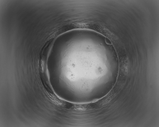 X0000084550658200702231206