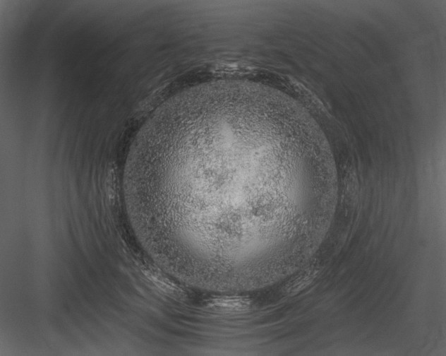 X0000084550659200702231206