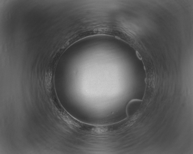 X0000084550660200702231207