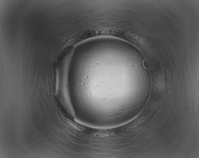 X0000084550661200702231207