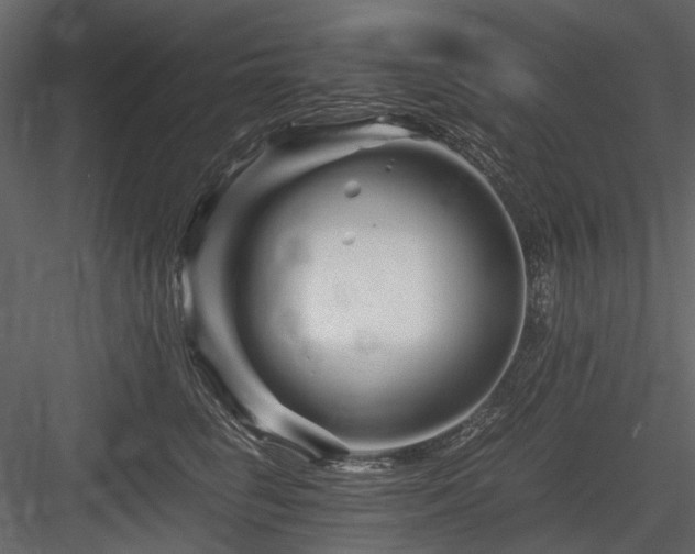 X0000084550662200702231207