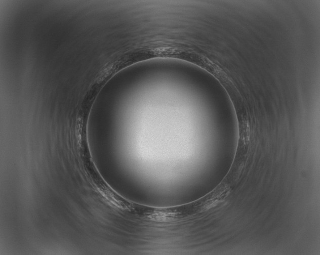 X0000084550664200702231207