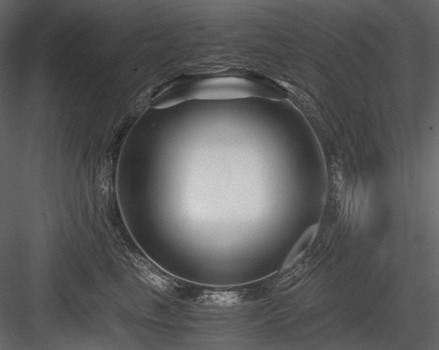 X0000084550665200702231207