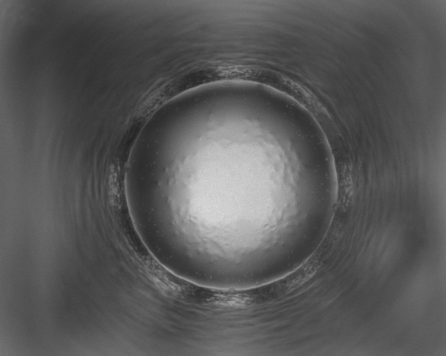 X0000084550667200702231207