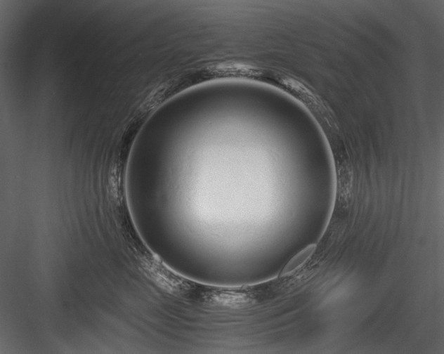 X0000084550669200702231207