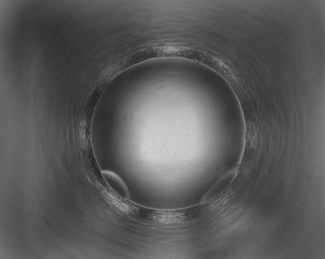 X0000084550670200702231207