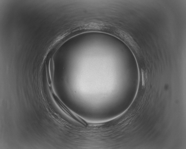 X0000084550675200702231206