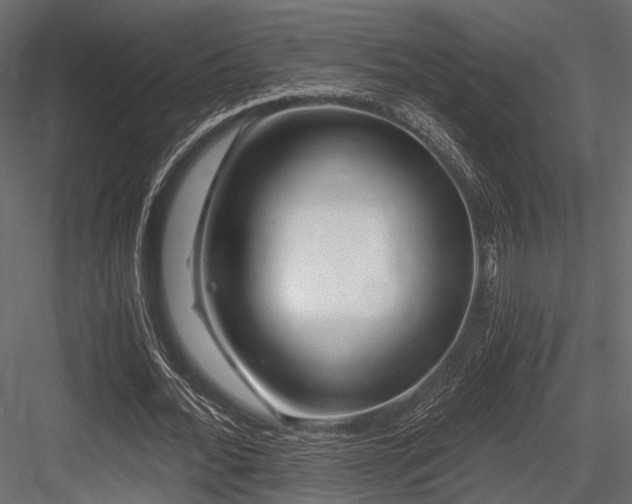 X0000084550676200702231206