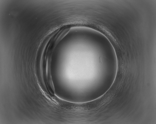 X0000084550677200702231206