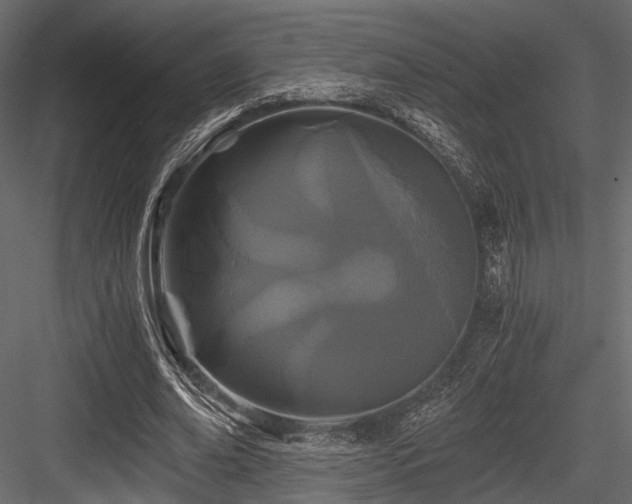 X0000084550678200702231206