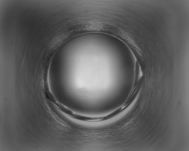 X0000084550681200702231206