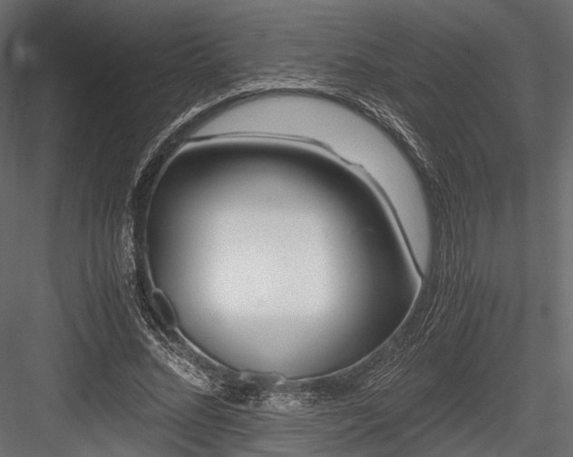 X0000084550684200702231206