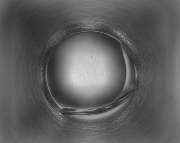 X0000084550685200702231206