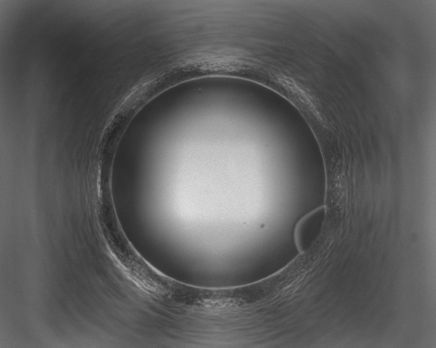 X0000084550686200702231206