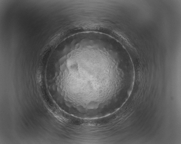 X0000084550687200702231206