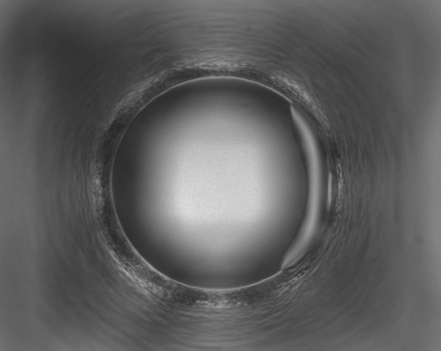 X0000084550688200702231206