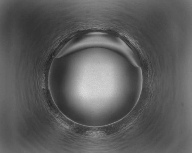 X0000084550689200702231206
