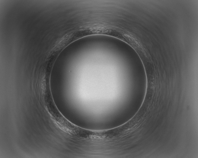 X0000084550690200702231206