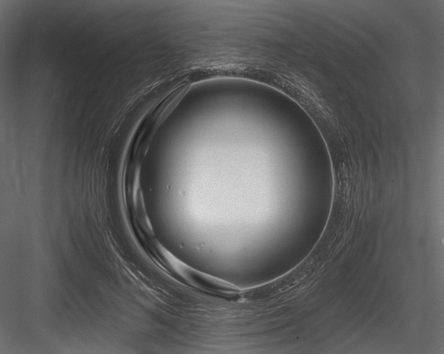 X0000084550692200702231206