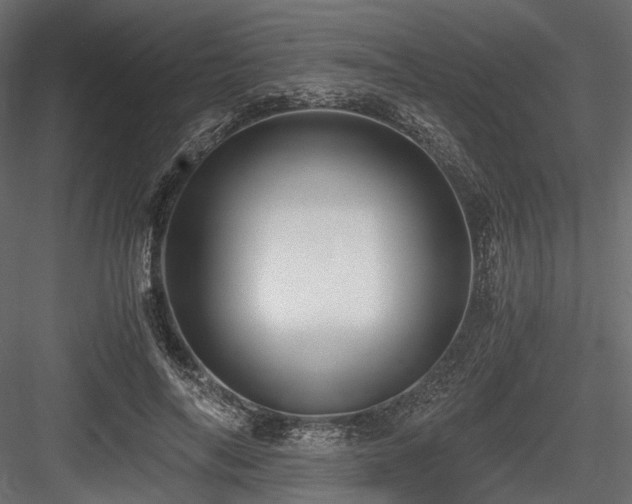 X0000084550694200702231206