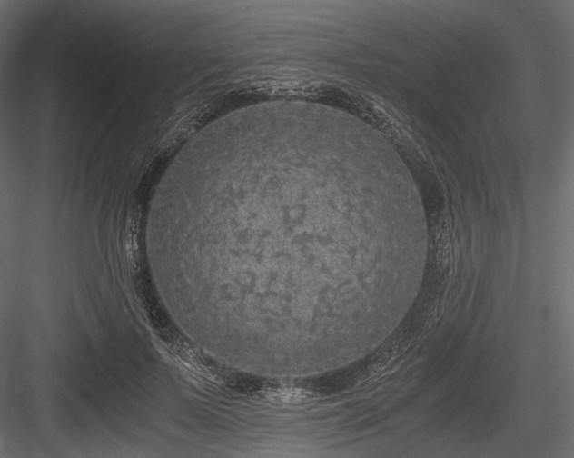 X0000084550695200702231205