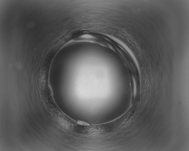 X0000084550697200702231205