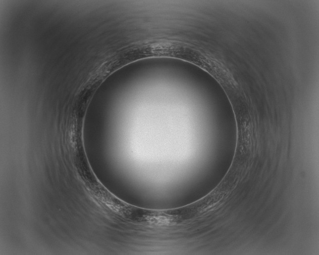 X0000084550698200702231205
