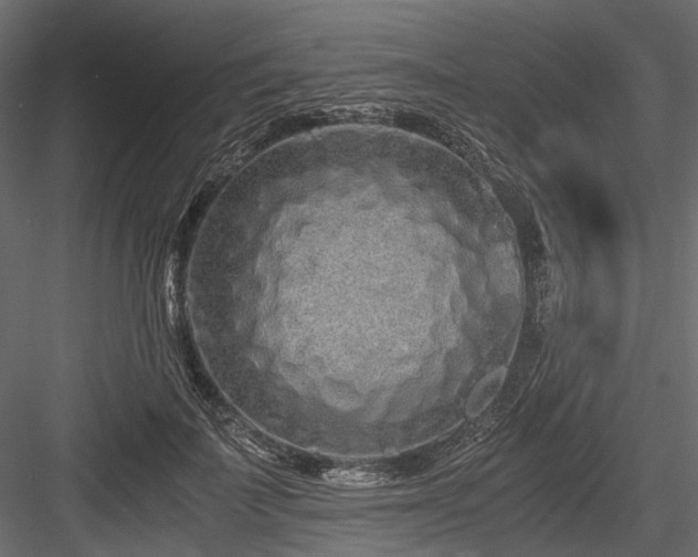 X0000084550699200702231205